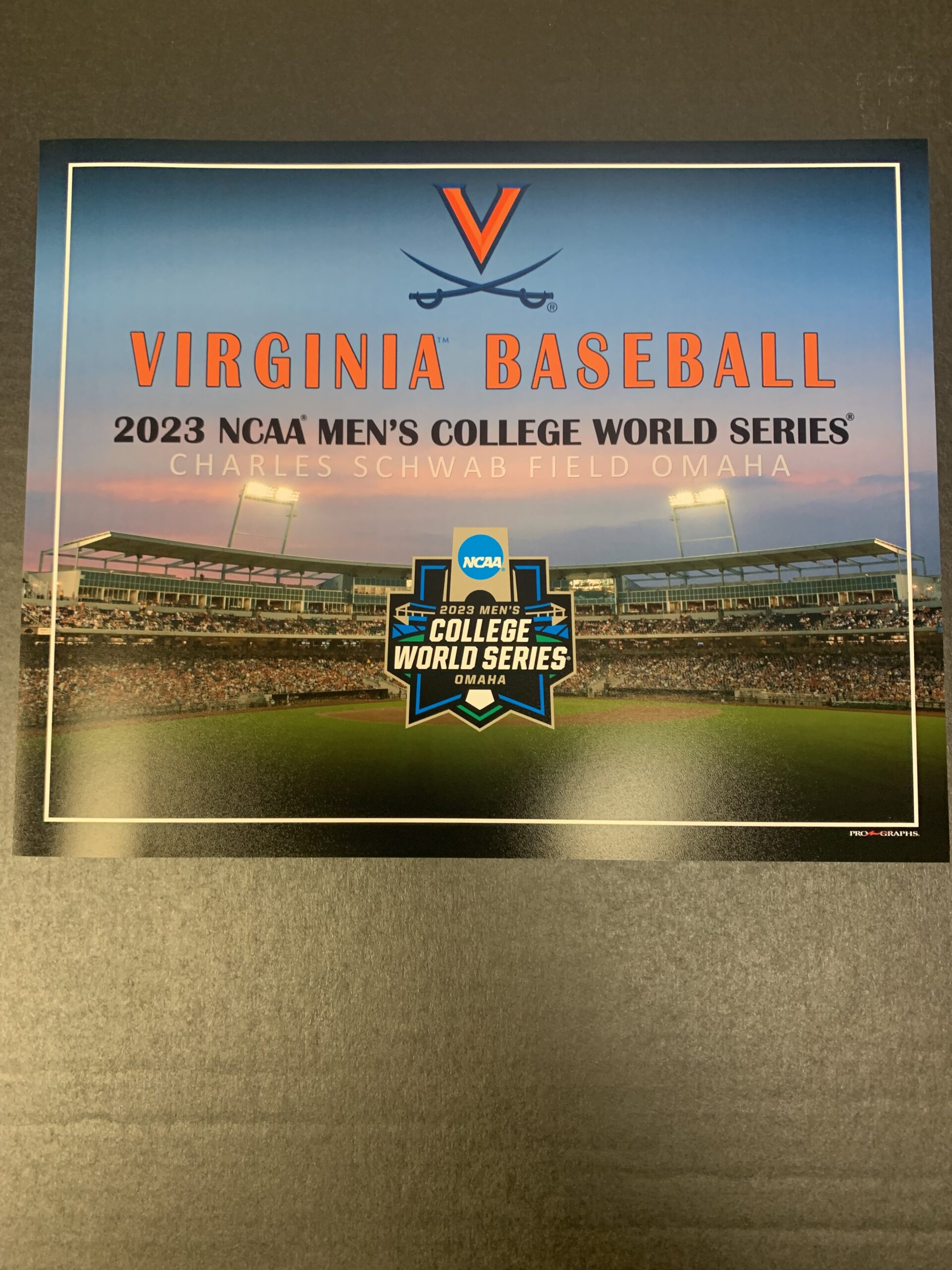 2023 College World Series Virginia Officially Licensed single team 16 x