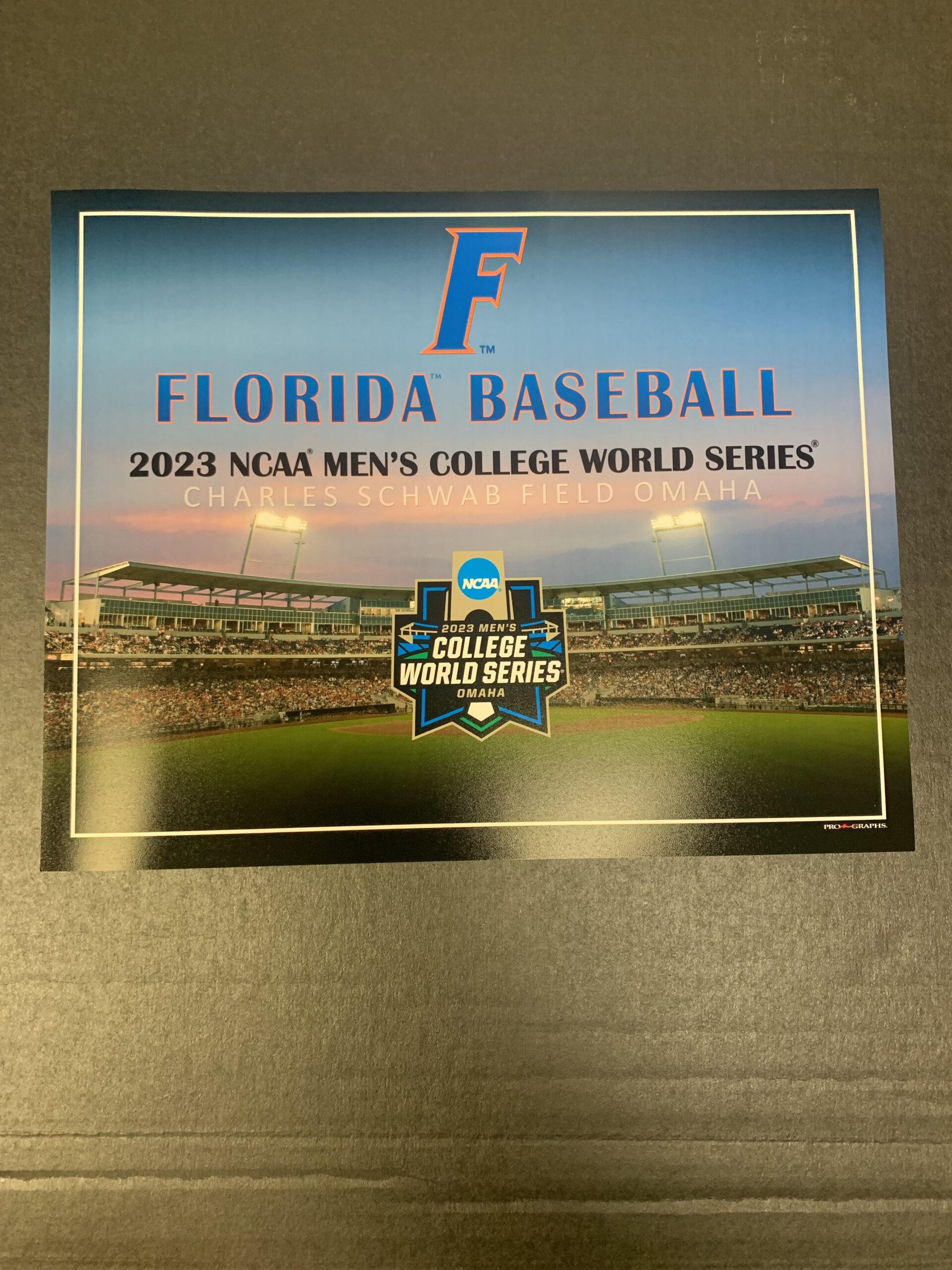 2023 College World Series Florida Officially Licensed single team 16 x