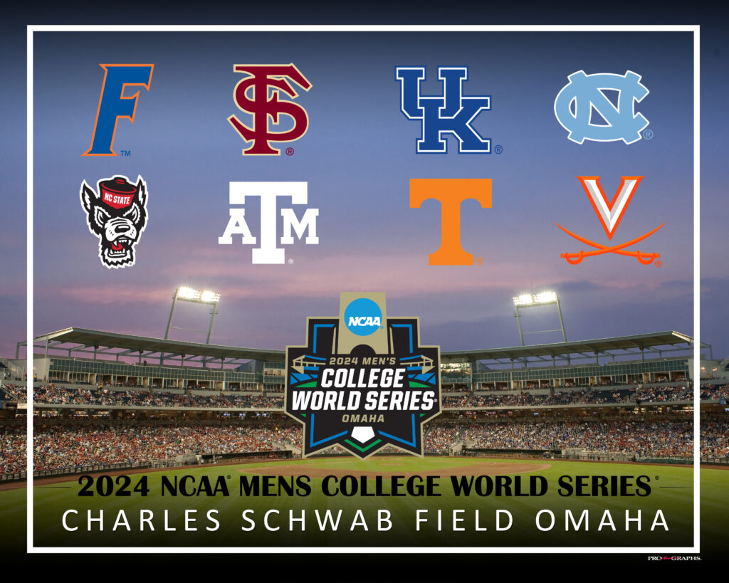 2024 8 team College World Series Officially Licensed Stadium Program 16